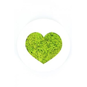 Tableau végétal Micro Picto MAGNET Coeur diam 10cm - FLOWERBOX